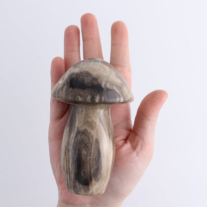 Petrified Wood Mushrooms Set of 4