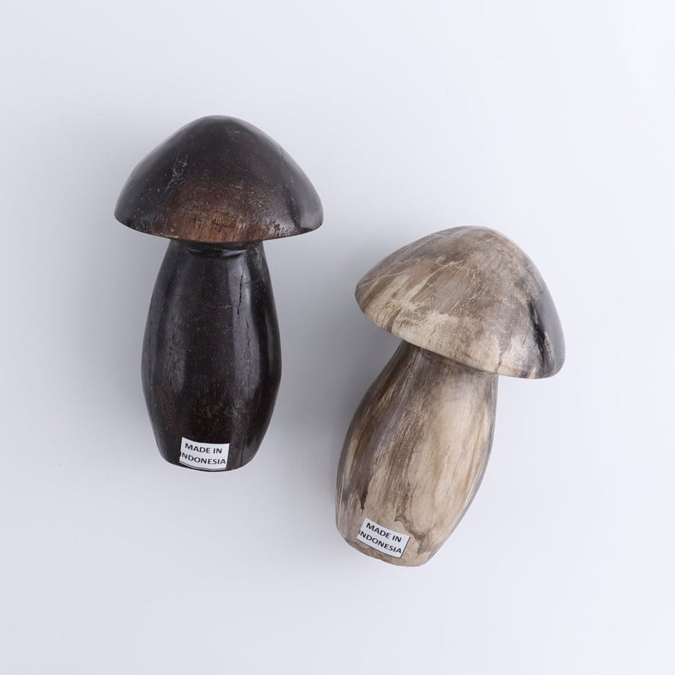 Petrified Wood Mushrooms Set of 4