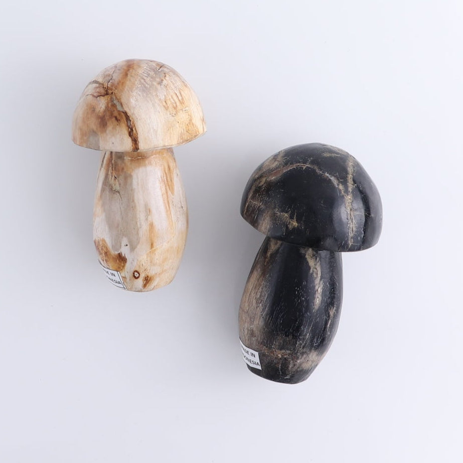 Petrified Wood Mushrooms Set of 4