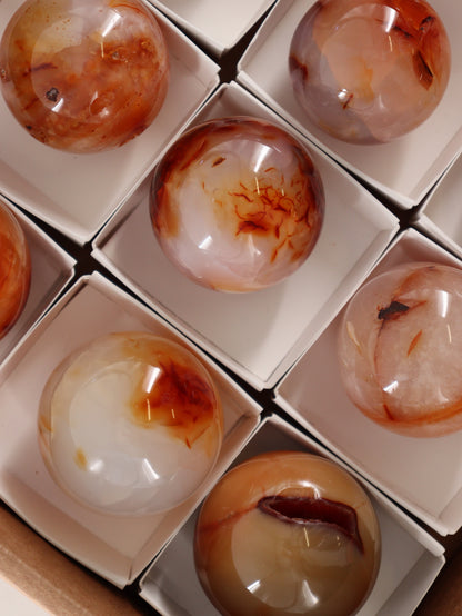 Carnelian Spheres Set of 12 - Expert Wholesale and Supplier of Wholesale Crystals & Bulk Gemstones, []