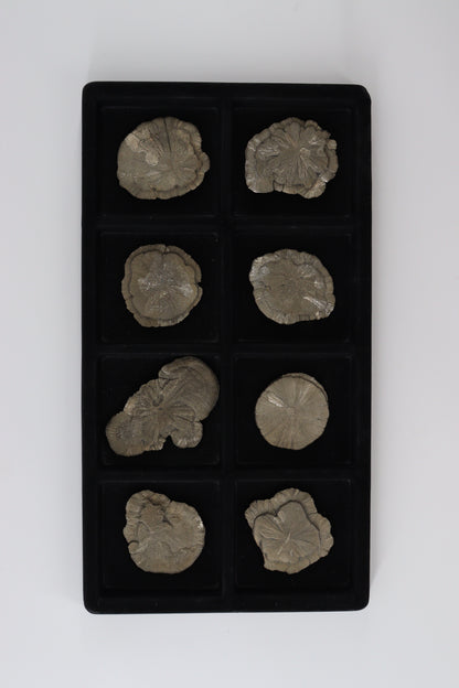 Pyrite Slices and Slabs - Expert Wholesale and Supplier of Wholesale Crystals & Bulk Gemstones, []