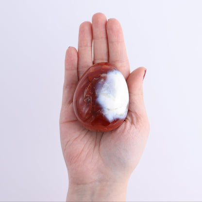 Carnelian Eggs Set of 11