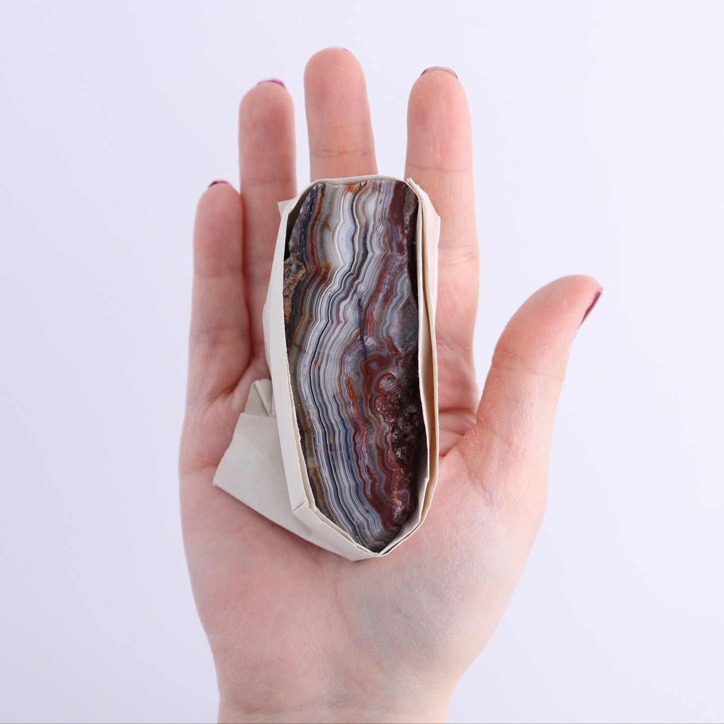 Crazy Lace Agate Flat of 11 - Expert Wholesale and Supplier of Wholesale Crystals & Bulk Gemstones, ["Crazy Lace Agate","Mexico"]
