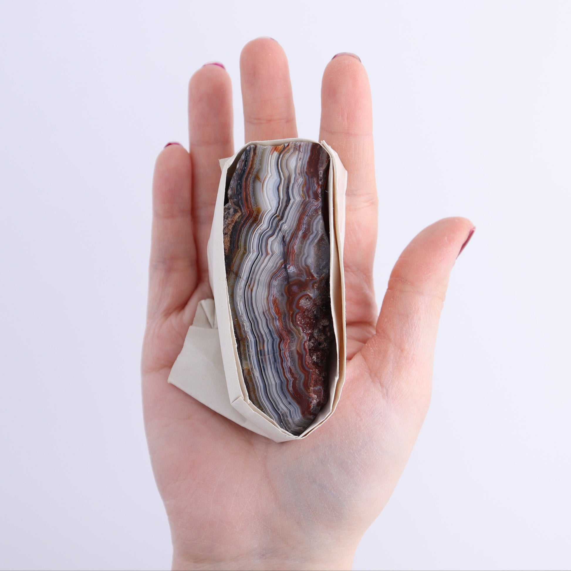Crazy Lace Agate Flat of 11 - Expert Wholesale and Supplier of Wholesale Crystals & Bulk Gemstones, ["Crazy Lace Agate","Mexico"]