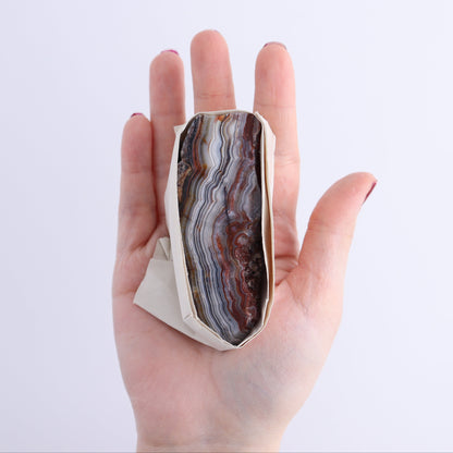 Crazy Lace Agate Flat of 11 - Expert Wholesale and Supplier of Wholesale Crystals & Bulk Gemstones, ["Crazy Lace Agate","Mexico"]
