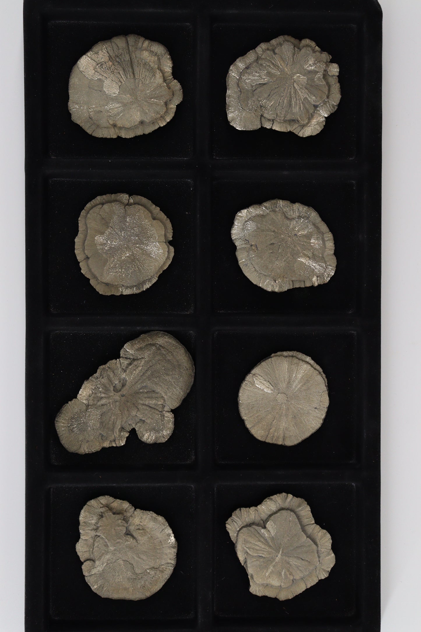 Pyrite Slices and Slabs - Expert Wholesale and Supplier of Wholesale Crystals & Bulk Gemstones, []