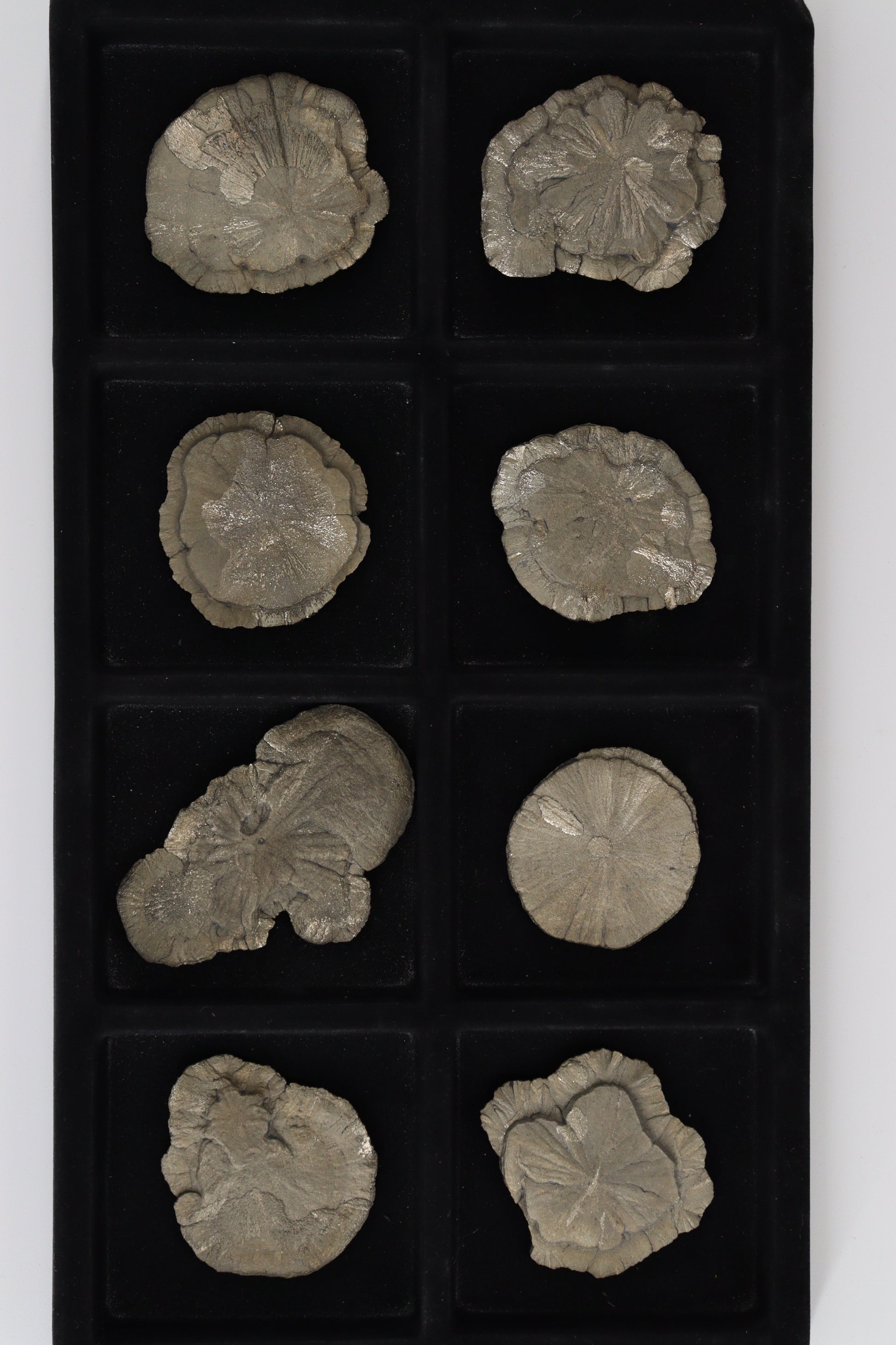 Pyrite Slices and Slabs - Expert Wholesale and Supplier of Wholesale Crystals & Bulk Gemstones, []