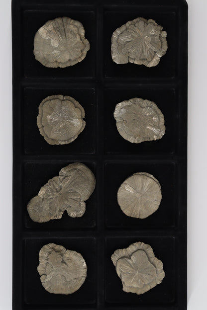 Pyrite Slices and Slabs - Expert Wholesale and Supplier of Wholesale Crystals & Bulk Gemstones, []