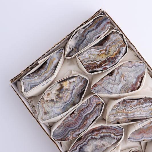 Crazy Lace Agate Flat of 11 - Expert Wholesale and Supplier of Wholesale Crystals & Bulk Gemstones, ["Crazy Lace Agate","Mexico"]