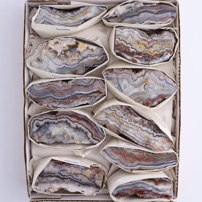 Crazy Lace Agate Flat of 11 - Expert Wholesale and Supplier of Wholesale Crystals & Bulk Gemstones, ["Crazy Lace Agate","Mexico"]