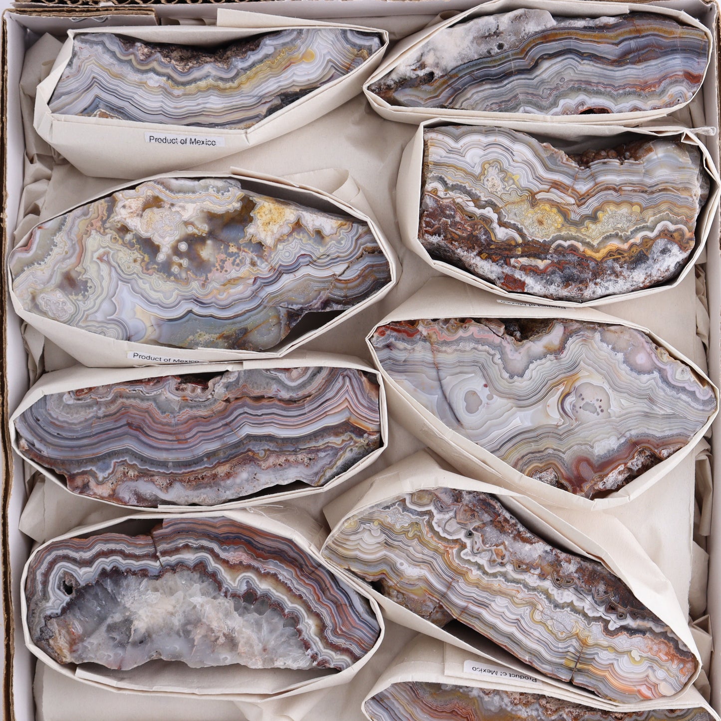Crazy Lace Agate Flat of 11 - Expert Wholesale and Supplier of Wholesale Crystals & Bulk Gemstones, ["Crazy Lace Agate","Mexico"]