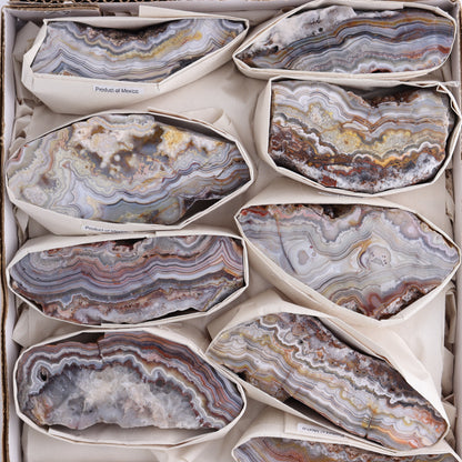 Crazy Lace Agate Flat of 11 - Expert Wholesale and Supplier of Wholesale Crystals & Bulk Gemstones, ["Crazy Lace Agate","Mexico"]