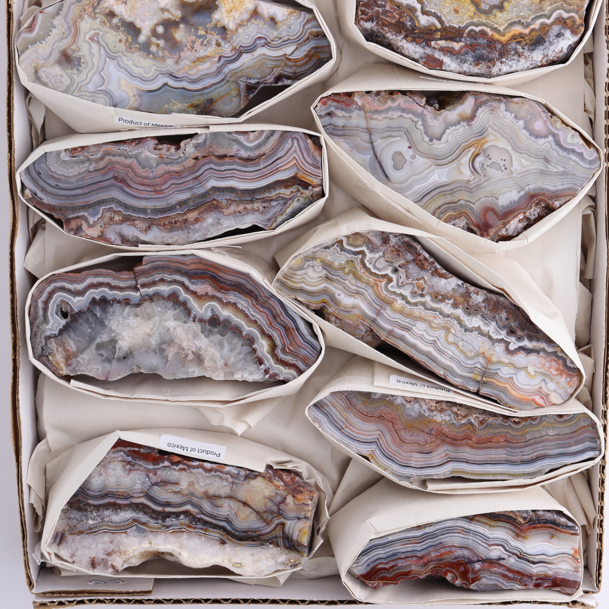 Crazy Lace Agate Flat of 11 - Expert Wholesale and Supplier of Wholesale Crystals & Bulk Gemstones, ["Crazy Lace Agate","Mexico"]
