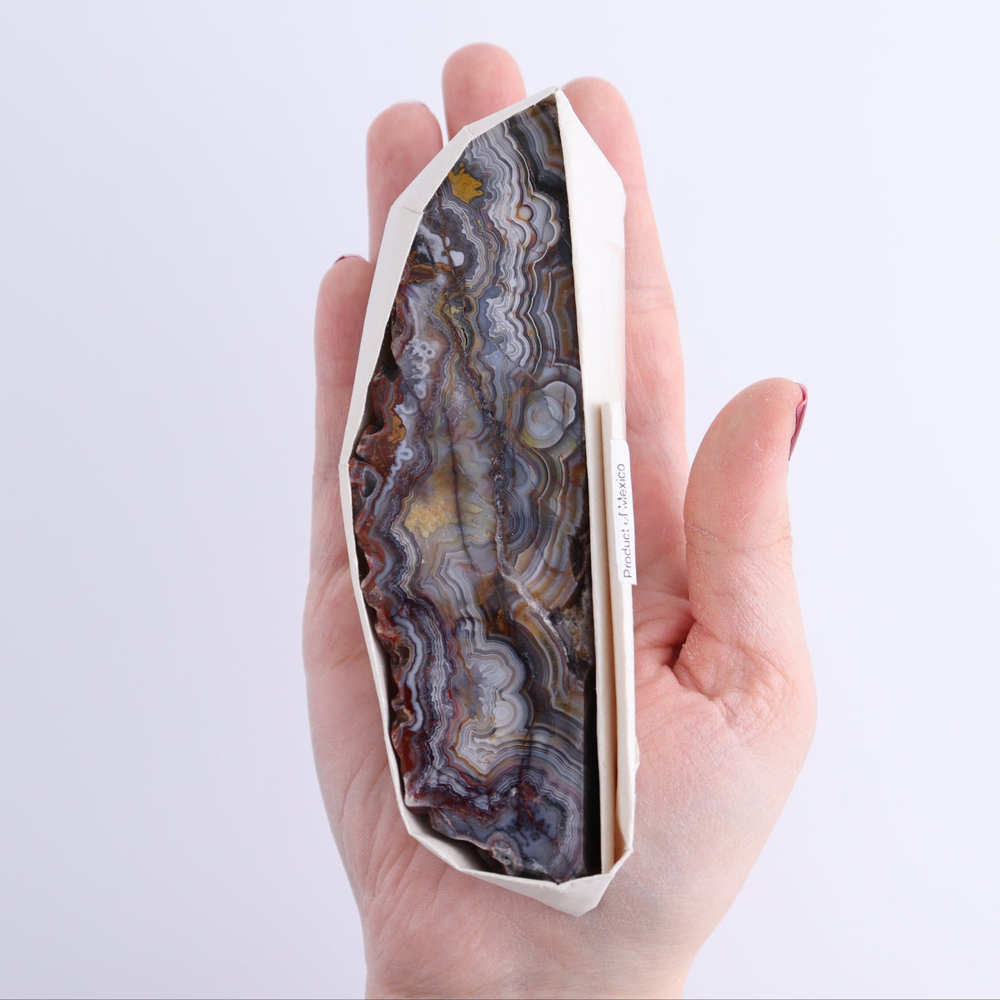 Crazy Lace Agate Flat of 12 - Expert Wholesale and Supplier of Wholesale Crystals & Bulk Gemstones, ["Crazy Lace Agate","Mexico"]