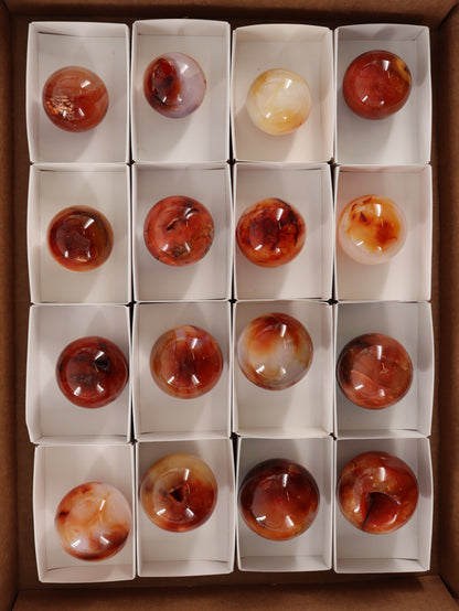 Carnelian Spheres Set of 12 - Expert Wholesale and Supplier of Wholesale Crystals & Bulk Gemstones, []