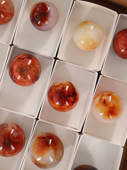 Carnelian Spheres Set of 12 - Expert Wholesale and Supplier of Wholesale Crystals & Bulk Gemstones, []