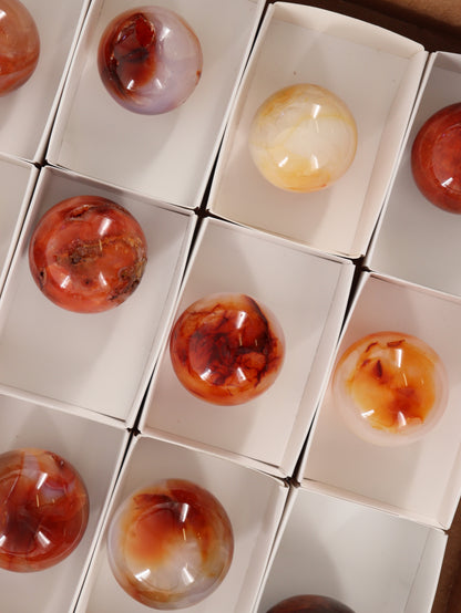 Carnelian Spheres Set of 12 - Expert Wholesale and Supplier of Wholesale Crystals & Bulk Gemstones, []