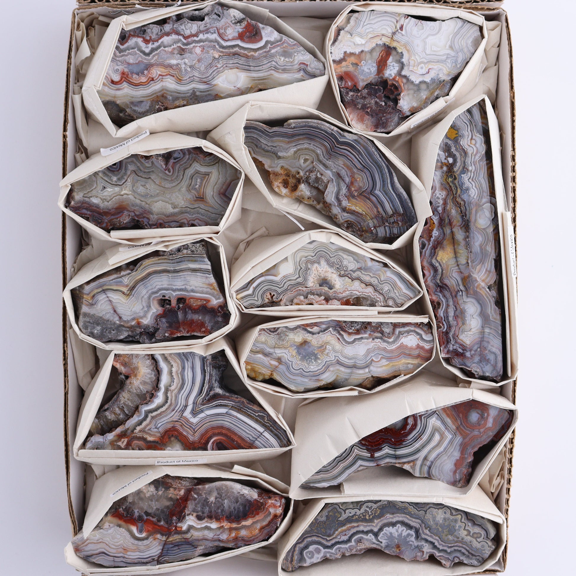 Crazy Lace Agate Flat of 12 - Expert Wholesale and Supplier of Wholesale Crystals & Bulk Gemstones, ["Crazy Lace Agate","Mexico"]