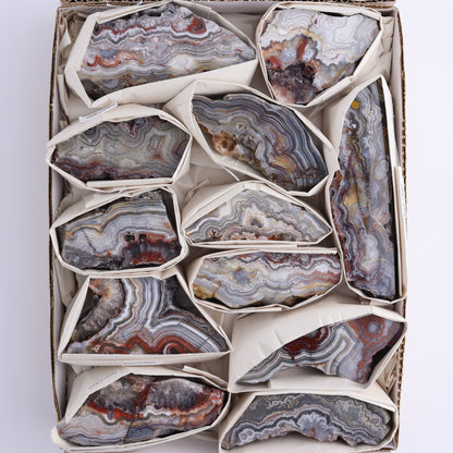 Crazy Lace Agate Flat of 12 - Expert Wholesale and Supplier of Wholesale Crystals & Bulk Gemstones, ["Crazy Lace Agate","Mexico"]