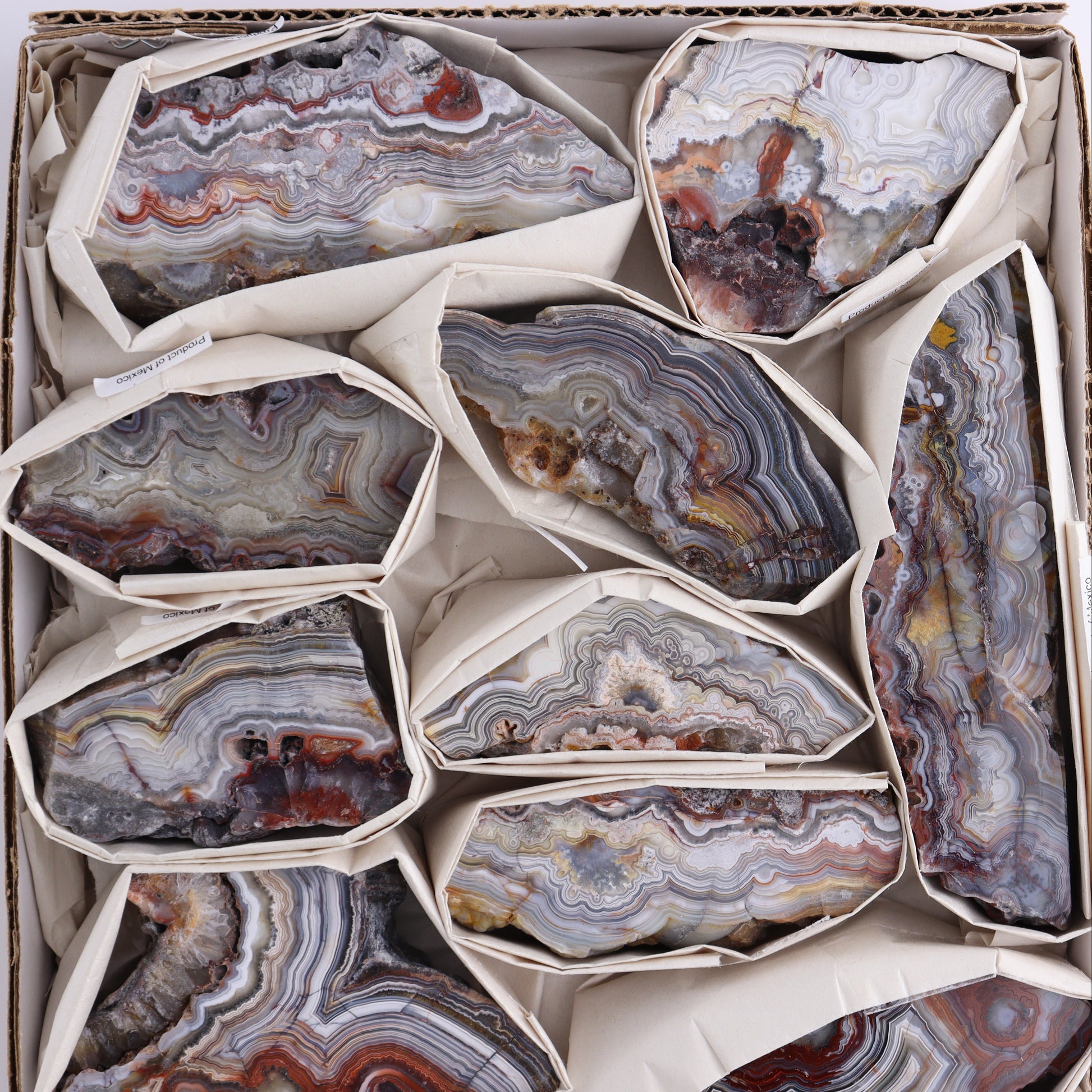 Crazy Lace Agate Flat of 12 - Expert Wholesale and Supplier of Wholesale Crystals & Bulk Gemstones, ["Crazy Lace Agate","Mexico"]