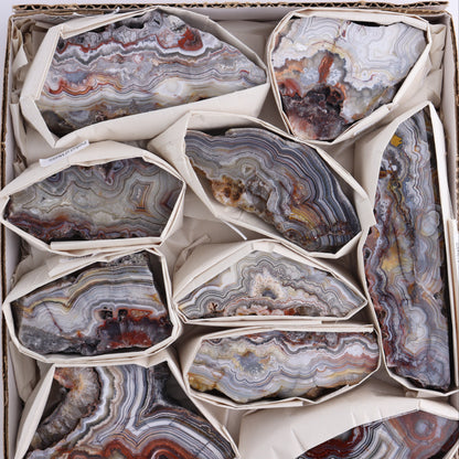 Crazy Lace Agate Flat of 12 - Expert Wholesale and Supplier of Wholesale Crystals & Bulk Gemstones, ["Crazy Lace Agate","Mexico"]