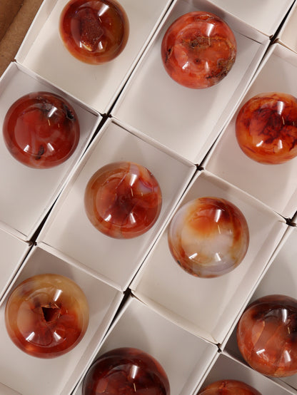 Carnelian Spheres Set of 12 - Expert Wholesale and Supplier of Wholesale Crystals & Bulk Gemstones, []