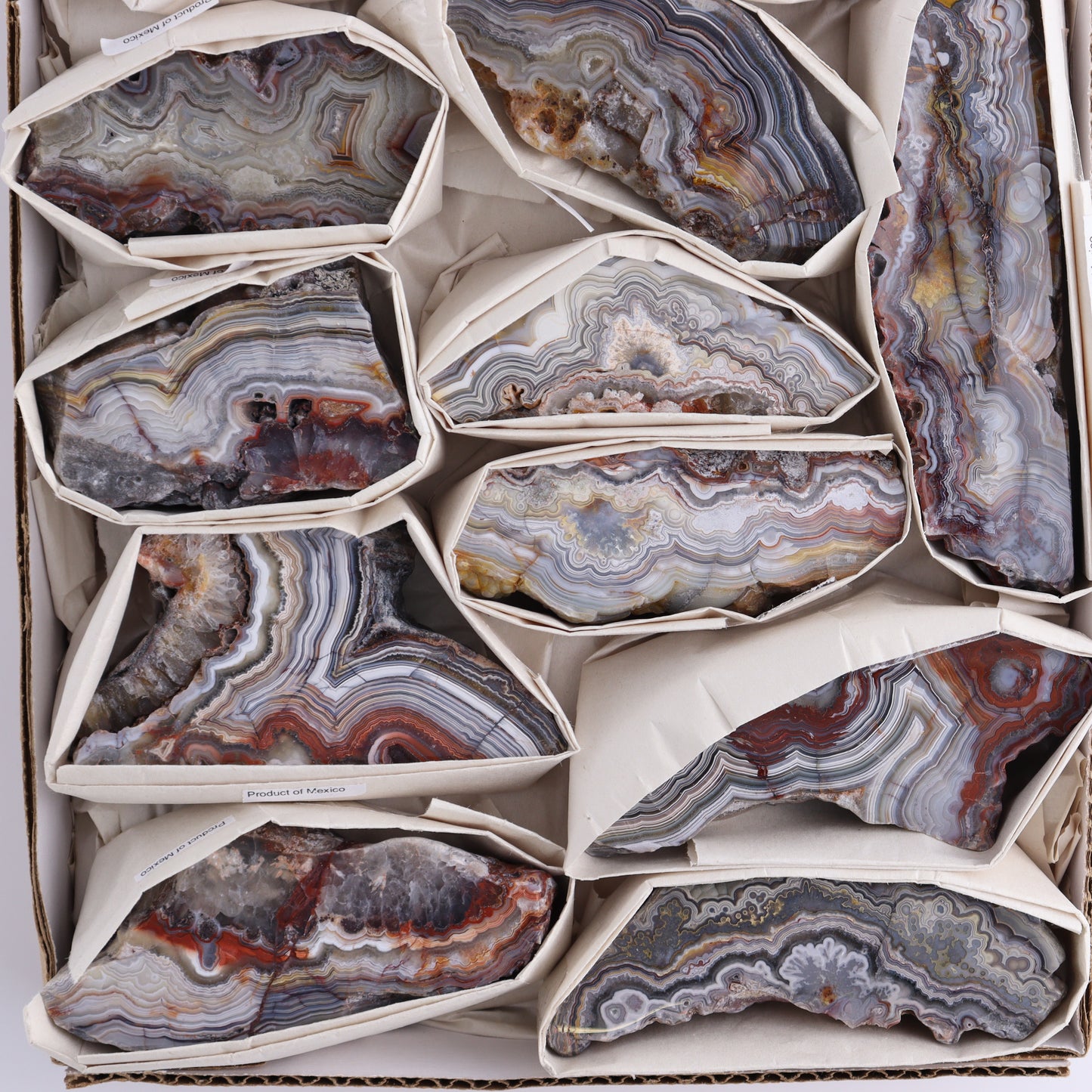 Crazy Lace Agate Flat of 12 - Expert Wholesale and Supplier of Wholesale Crystals & Bulk Gemstones, ["Crazy Lace Agate","Mexico"]