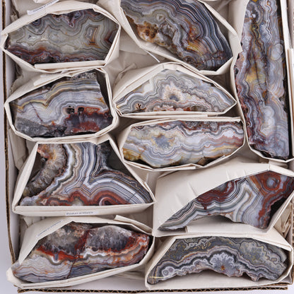 Crazy Lace Agate Flat of 12 - Expert Wholesale and Supplier of Wholesale Crystals & Bulk Gemstones, ["Crazy Lace Agate","Mexico"]
