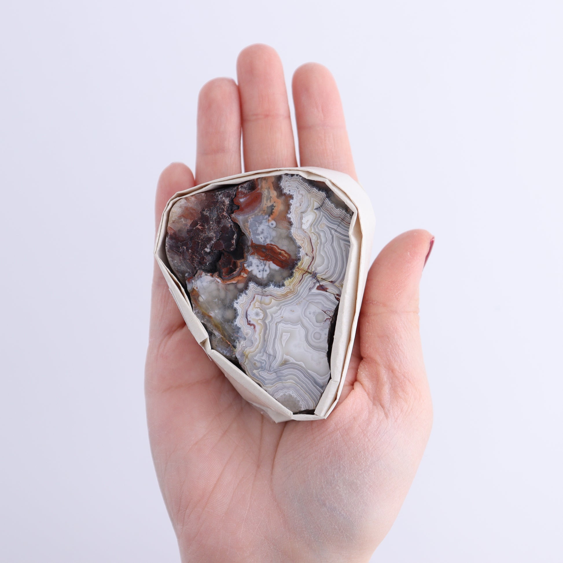 Crazy Lace Agate Flat of 12 - Expert Wholesale and Supplier of Wholesale Crystals & Bulk Gemstones, ["Crazy Lace Agate","Mexico"]