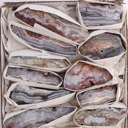 Crazy Lace Agate Flat of 13 - Expert Wholesale and Supplier of Wholesale Crystals & Bulk Gemstones, ["Crazy Lace Agate","Mexico"]