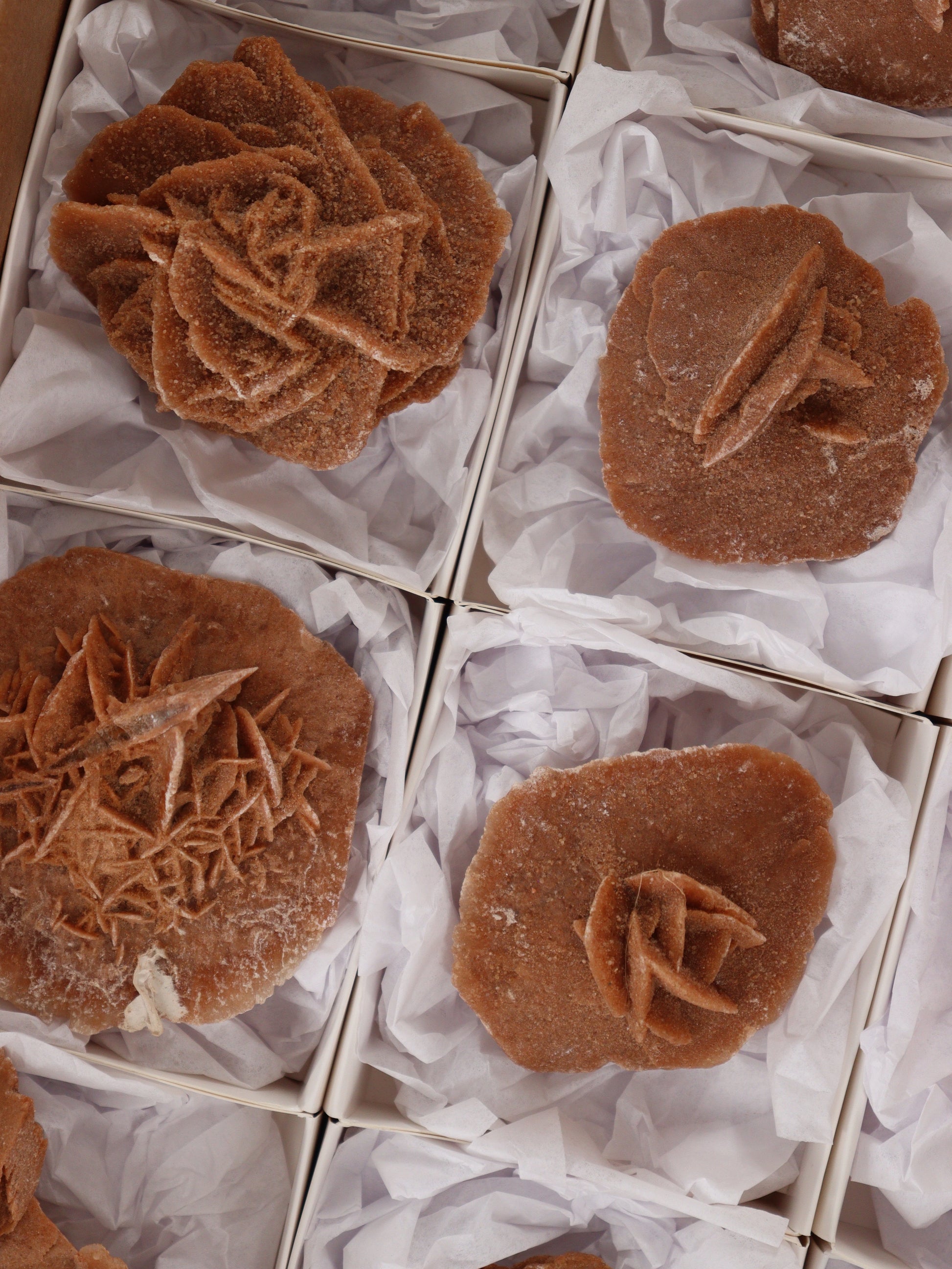 Desert Rose Rough Flat - Expert Wholesale and Supplier of Wholesale Crystals & Bulk Gemstones, []