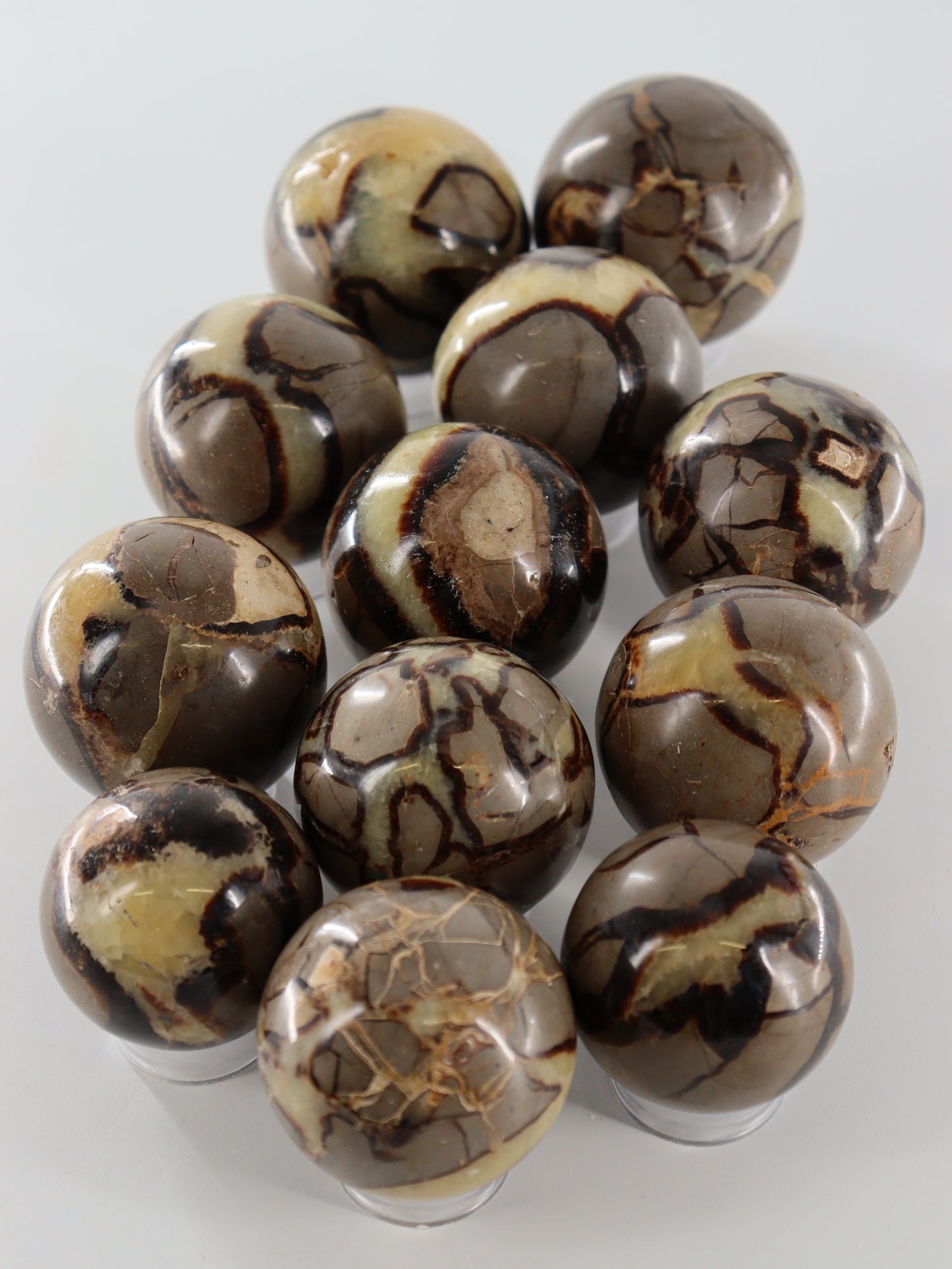 Septarian Spheres Set of 12 - Expert Wholesale and Supplier of Wholesale Crystals & Bulk Gemstones, []