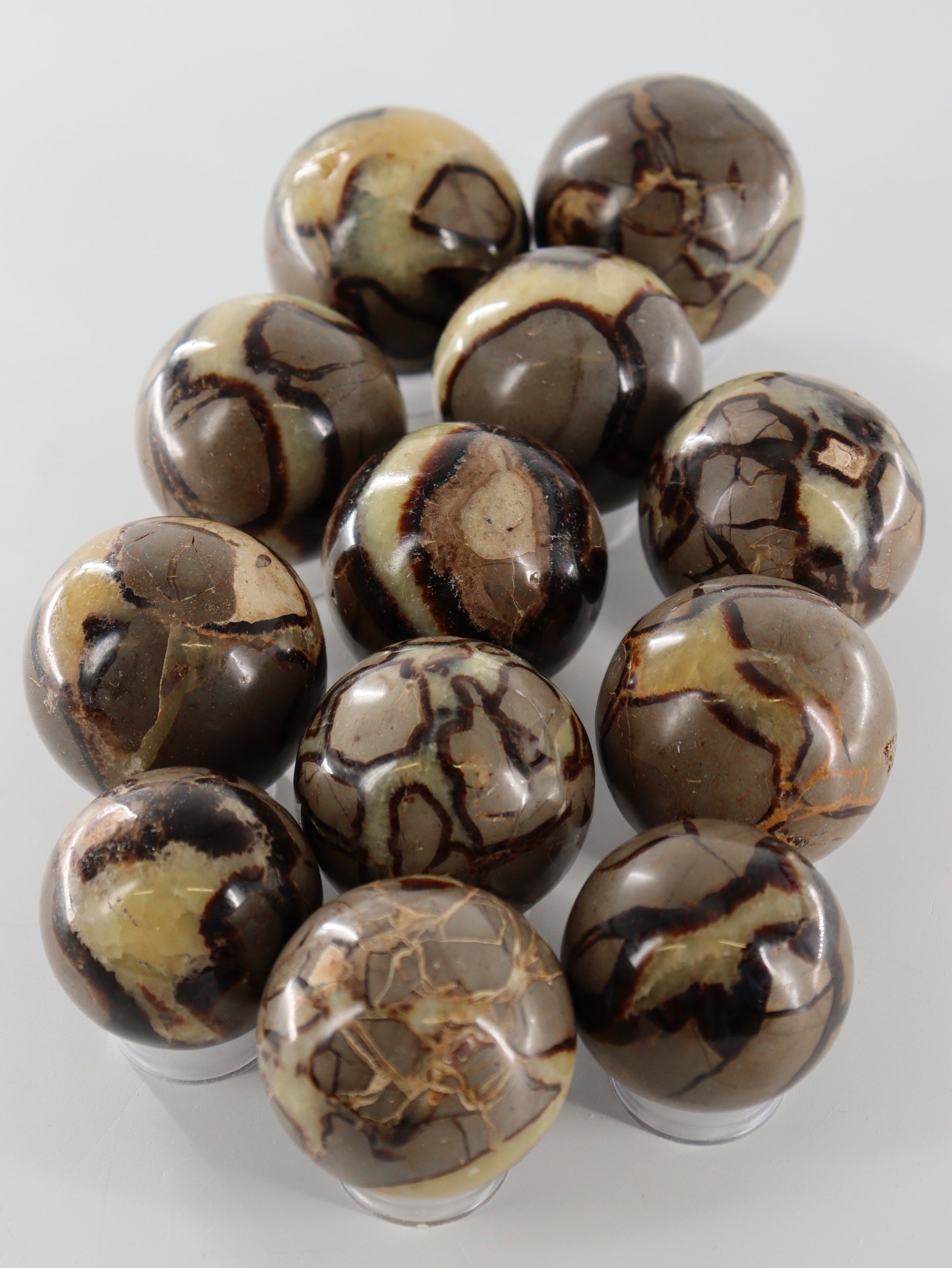 Septarian Spheres Set of 12 - Expert Wholesale and Supplier of Wholesale Crystals & Bulk Gemstones, []