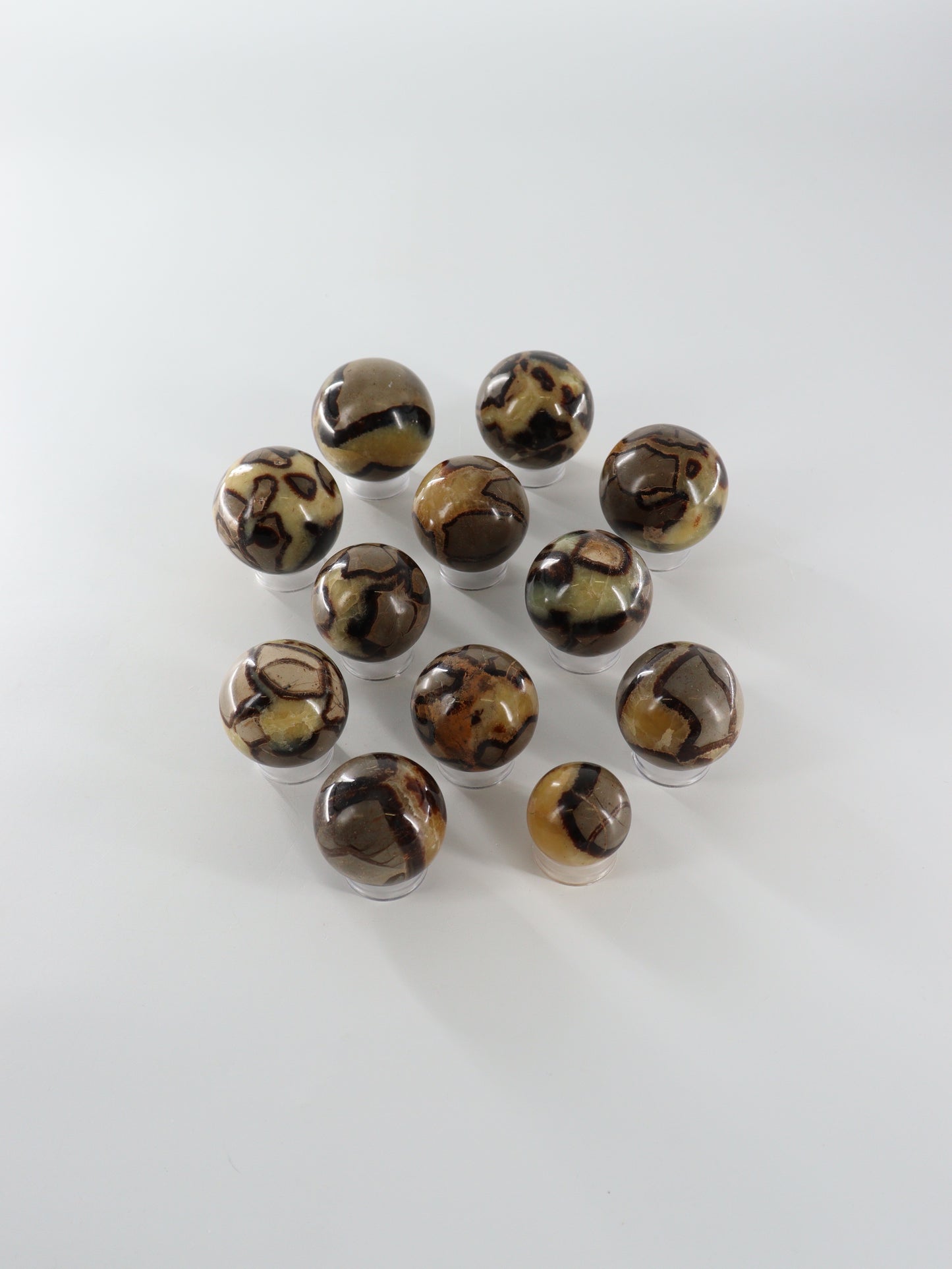 Septarian Spheres Set of 12 - Expert Wholesale and Supplier of Wholesale Crystals & Bulk Gemstones, []