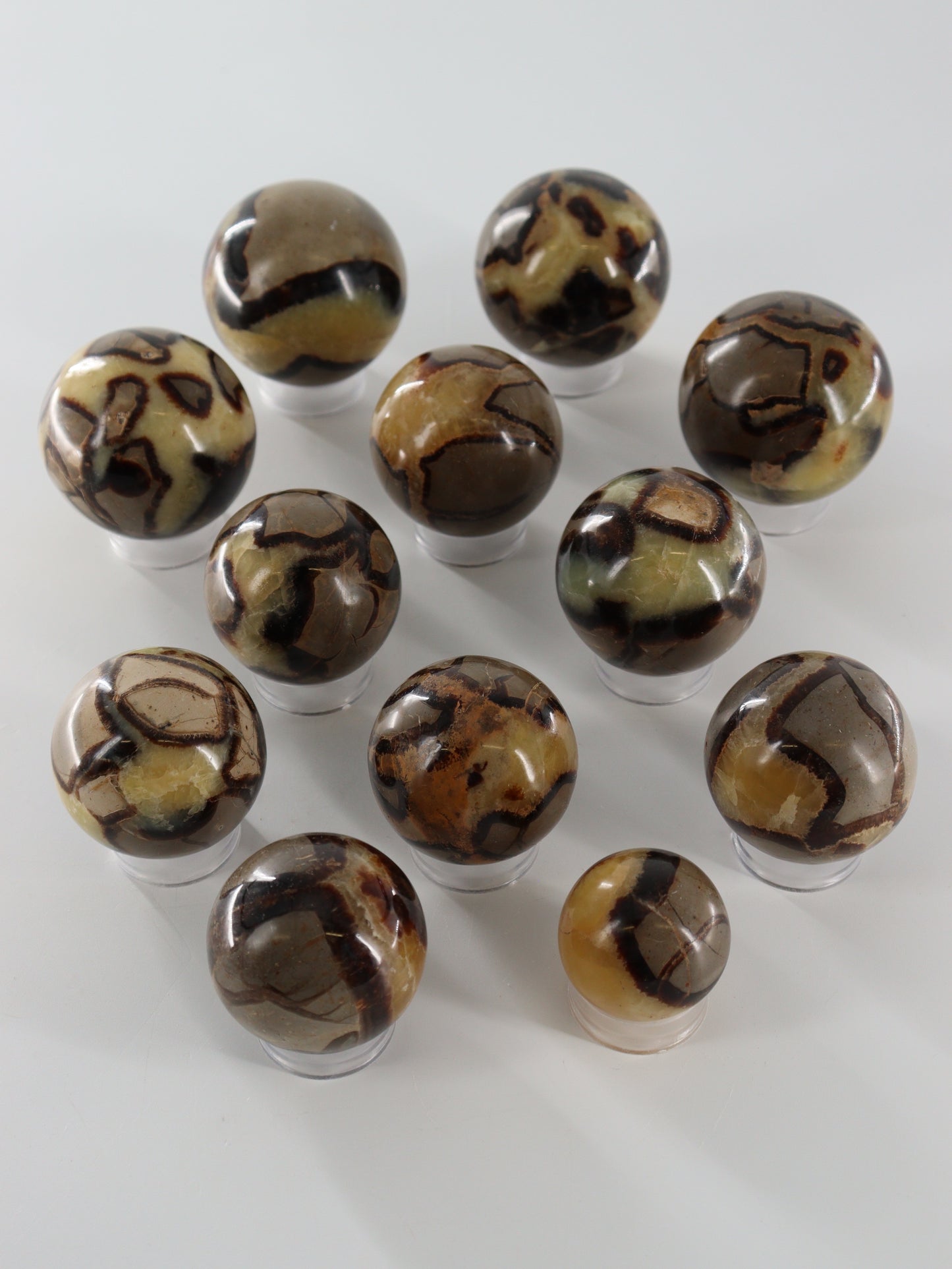 Septarian Spheres Set of 12 - Expert Wholesale and Supplier of Wholesale Crystals & Bulk Gemstones, []