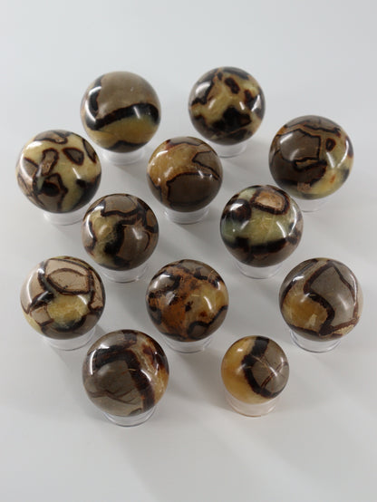 Septarian Spheres Set of 12 - Expert Wholesale and Supplier of Wholesale Crystals & Bulk Gemstones, []