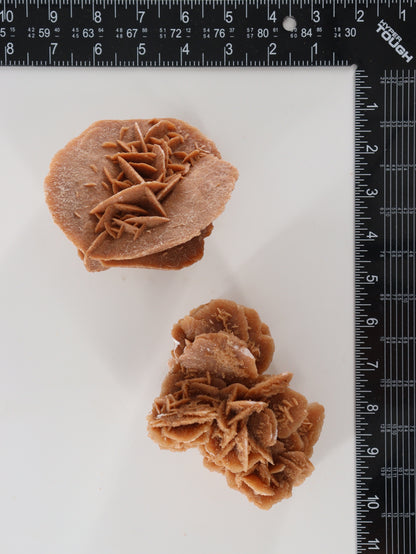 Desert Rose Rough Flat - Expert Wholesale and Supplier of Wholesale Crystals & Bulk Gemstones, []