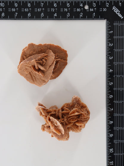 Desert Rose Rough Flat - Expert Wholesale and Supplier of Wholesale Crystals & Bulk Gemstones, []