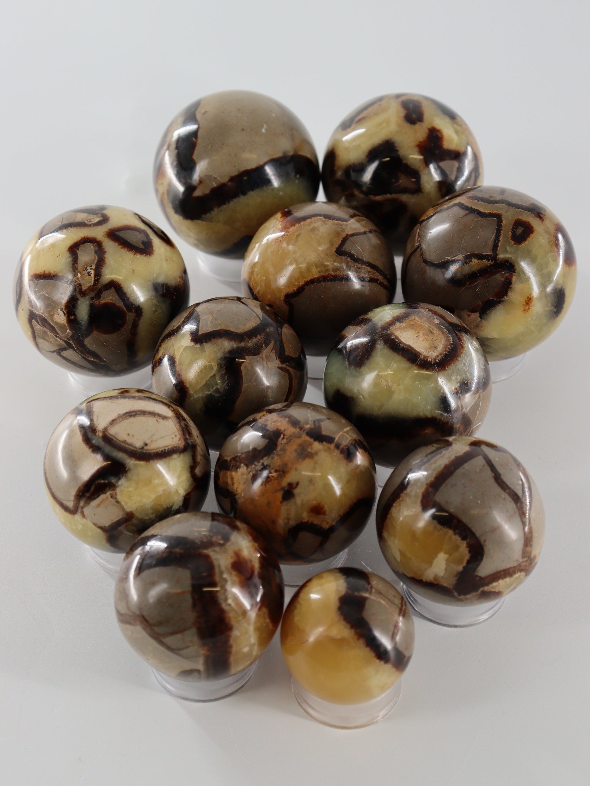 Septarian Spheres Set of 12 - Expert Wholesale and Supplier of Wholesale Crystals & Bulk Gemstones, []
