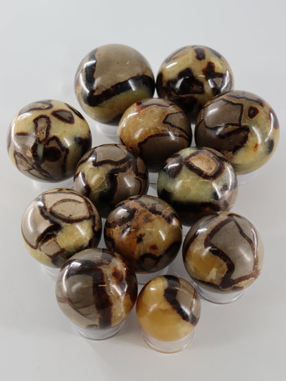 Septarian Spheres Set of 12 - Expert Wholesale and Supplier of Wholesale Crystals & Bulk Gemstones, []