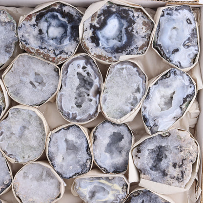 Trancas Geodes Flat of 20