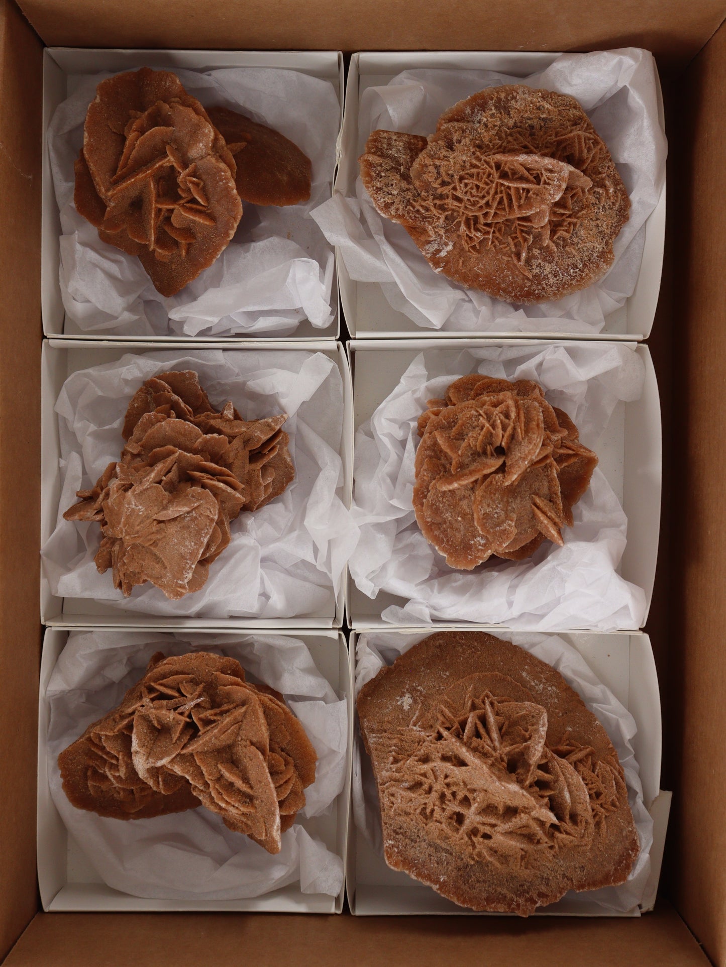 Desert Rose Rough Flat - Expert Supplier of Wholesale Crystals & Bulk Gemstones