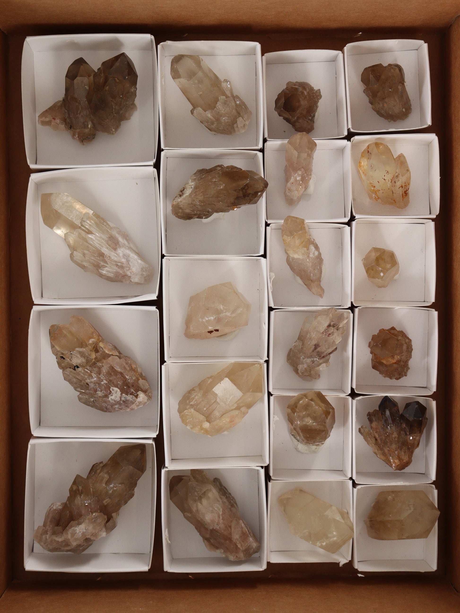 Citrine Flat - Expert Supplier of Wholesale Crystals & Bulk Gemstones