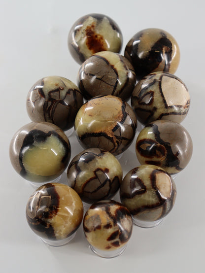 Septarian Spheres Set of 12 - Expert Wholesale and Supplier of Wholesale Crystals & Bulk Gemstones, []