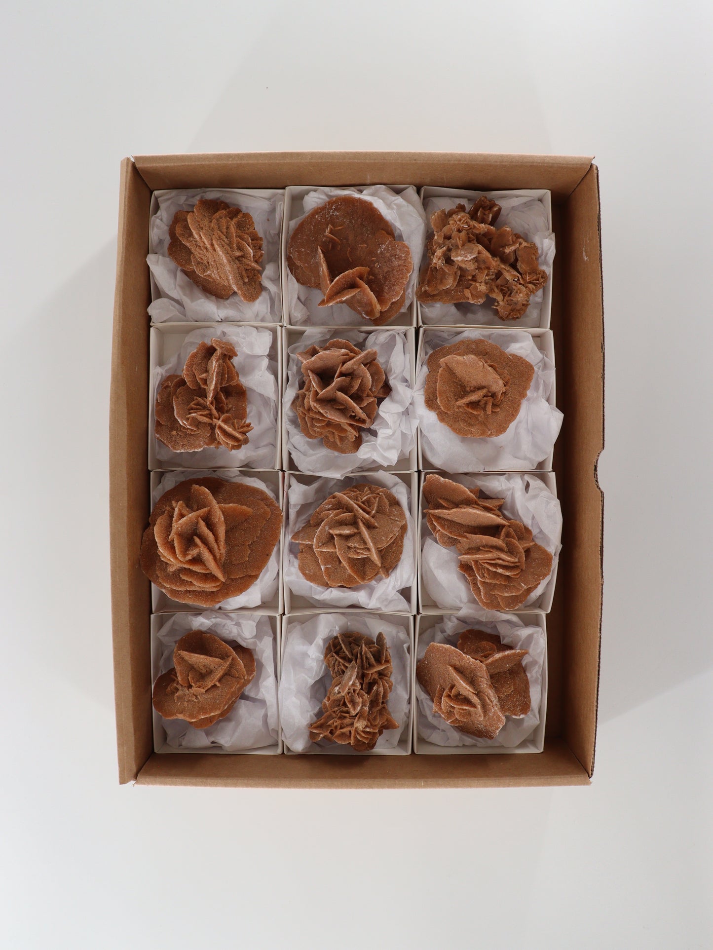 Desert Rose Rough Flat - Expert Wholesale and Supplier of Wholesale Crystals & Bulk Gemstones, []