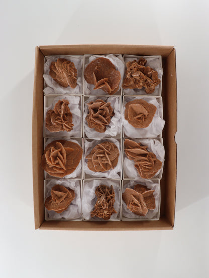 Desert Rose Rough Flat - Expert Wholesale and Supplier of Wholesale Crystals & Bulk Gemstones, []
