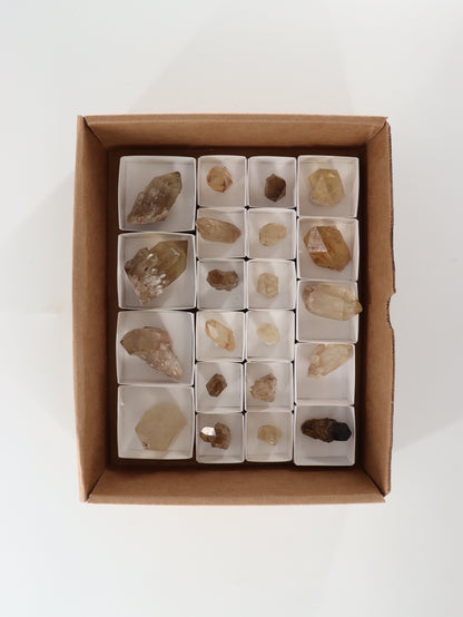 Citrine Flat - Expert Supplier of Wholesale Crystals & Bulk Gemstones