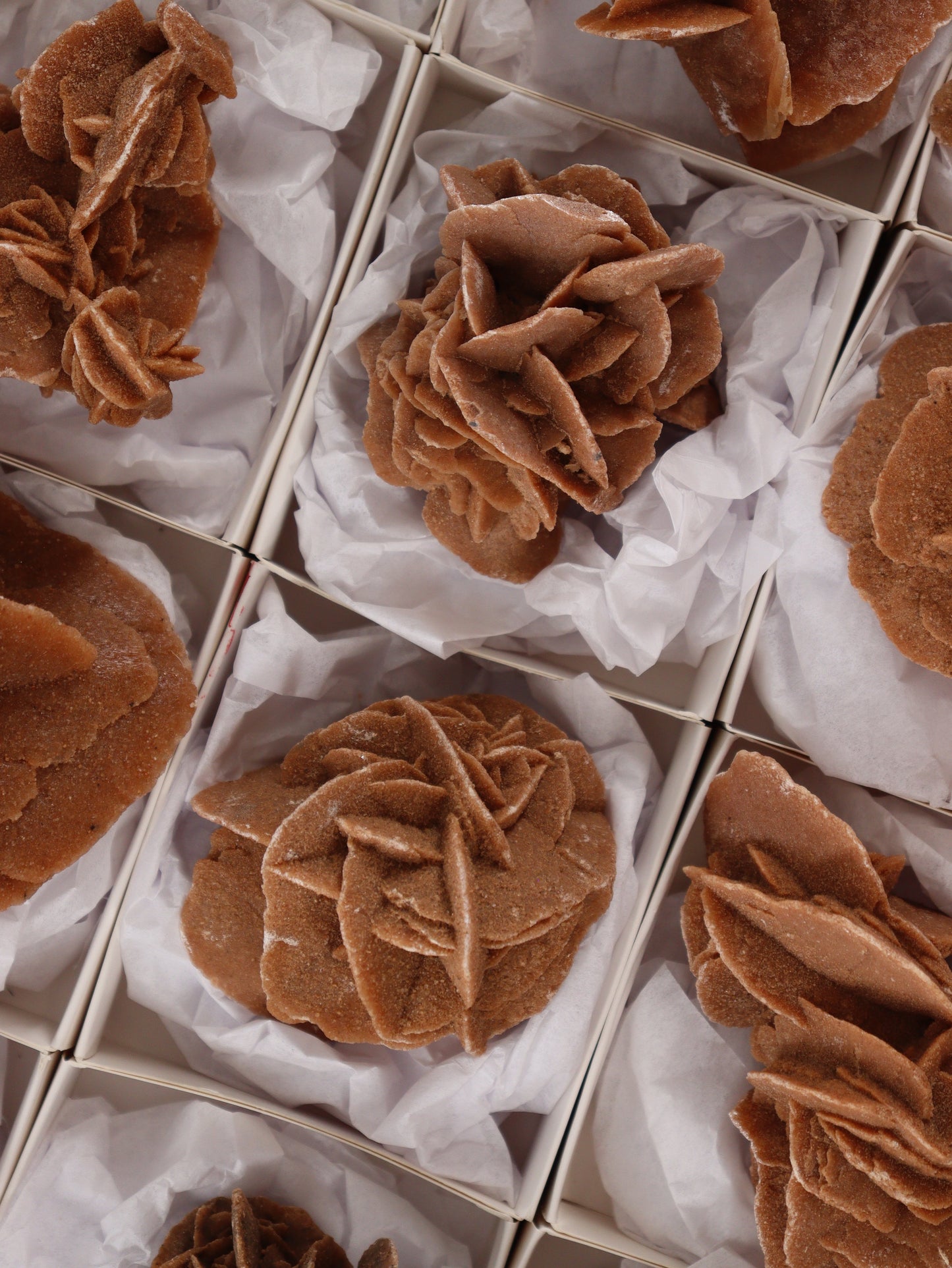 Desert Rose Rough Flat - Expert Wholesale and Supplier of Wholesale Crystals & Bulk Gemstones, []