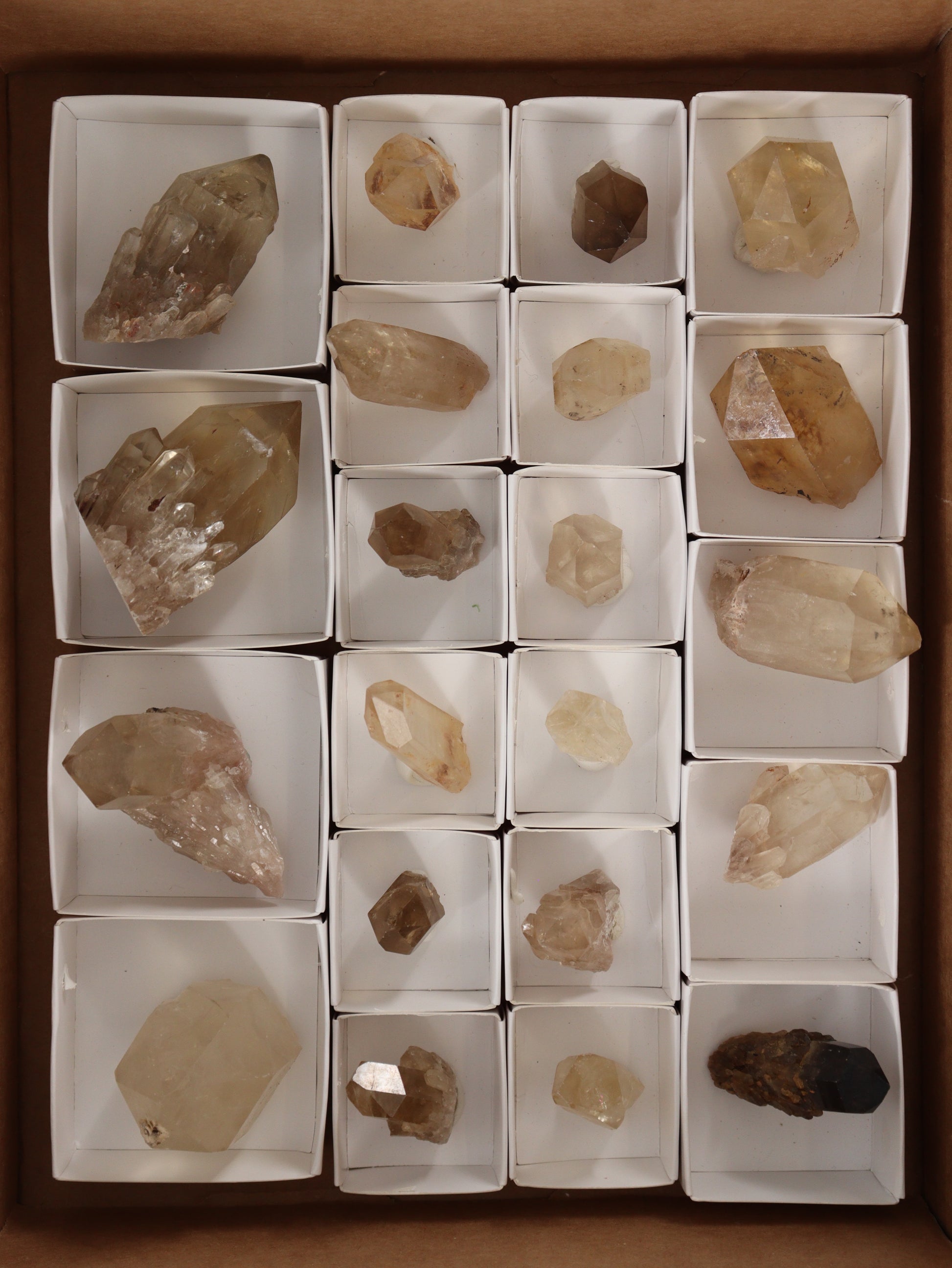 Citrine Flat - Expert Supplier of Wholesale Crystals & Bulk Gemstones