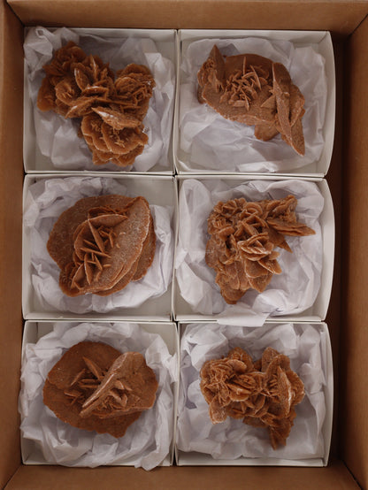 Desert Rose Rough Flat - Expert Wholesale and Supplier of Wholesale Crystals & Bulk Gemstones, []